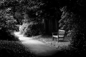 Member Name : Kevin Walters Title : Park Bench Score : 19