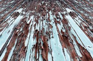 Liz Clayton-Its Wood Underneath