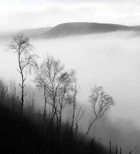 Valley-Mist