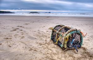 Mark Clayton-Lonely Lobster Pot - 18