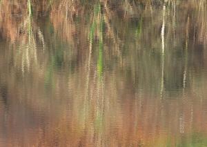 Clive Edwards - Autumn Reflected in Reservoir - 19