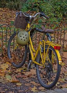 Janet Francis - Parked Amongst The Leaves - 19