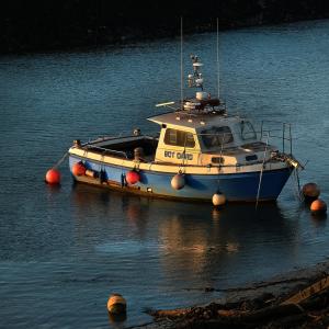 Janet Horbury-Bobbing About In The Evening Sun-18