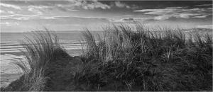 Janet Horbury-Dunes At Aberafan Beach-20