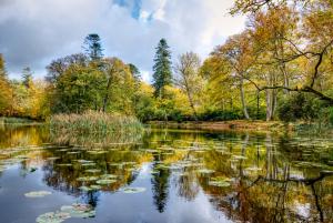 Mark Clayton-Autumn At Llanerchaeron - 20