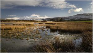 Paul Arnold-A Distant Pen Y Fan-18