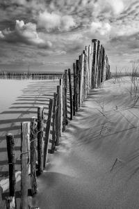 Peter Russell - Sand Dune Fencing - 18