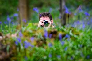 Richard Jones - Shooting Bluebells - 19