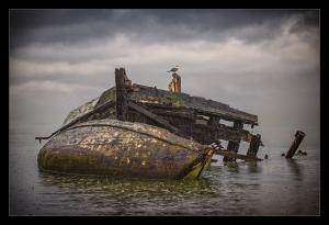 Wendy Jones - Gone Aground